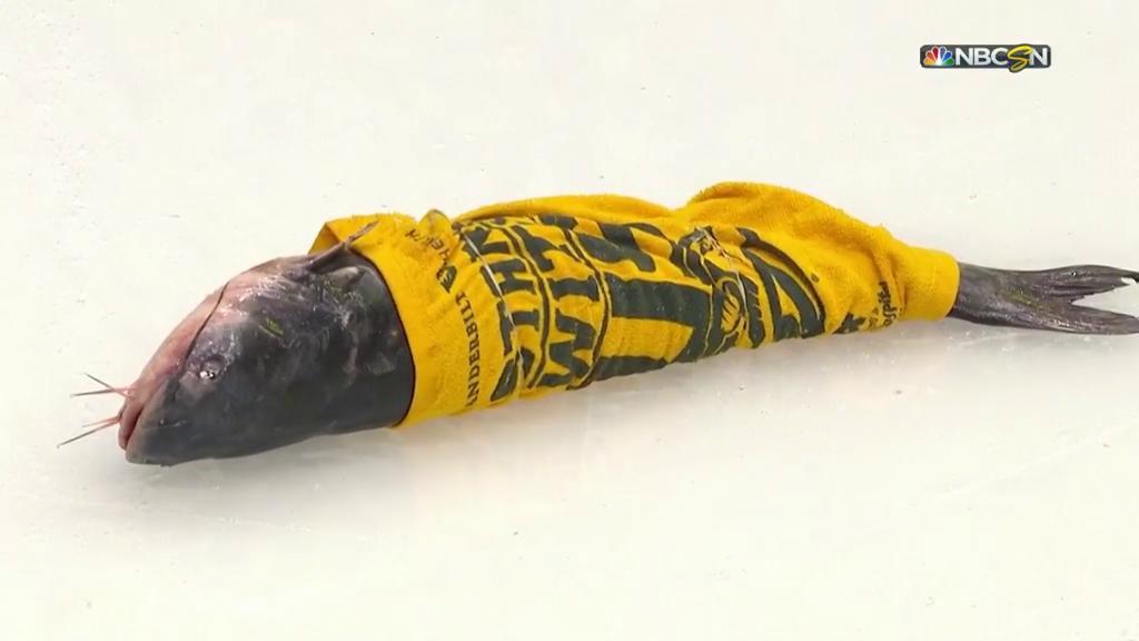 NBCSportsHockey's tweet photo. when you don't want to get out of bed on a monday morning https://t.co/MOCXa4rgrI