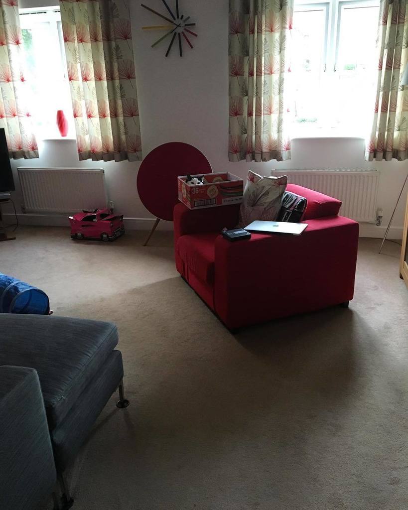 TillyCat05's tweet photo. Forget Where's Wally, Where's Tilly? #tilly #gato #cats #norwegianforestcats #tillycat #caturday #catstogram https://t.co/lXrQT3sazW https://t.co/VFtWlCjtvR