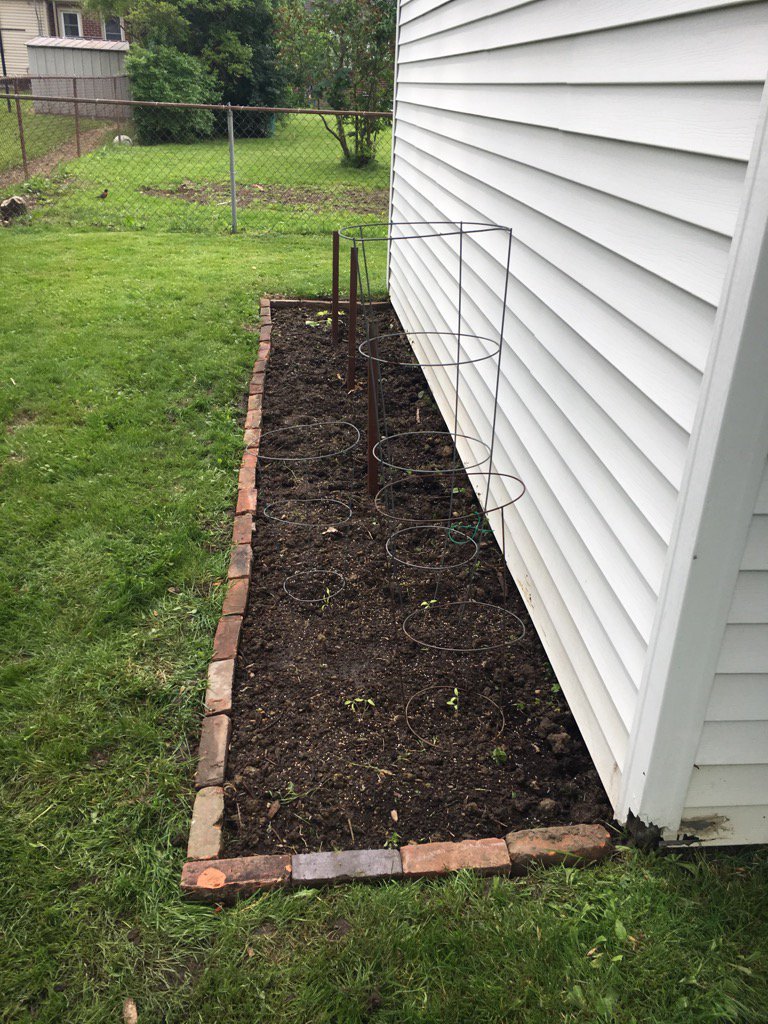 kristawie's tweet photo. This was a sad weed-filled piece of dirt this morning. Can't believe we did this in a day. #eco #yardimprovement https://t.co/xo7Agmbzpy