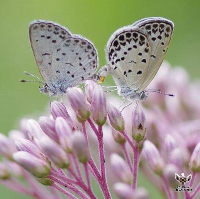 Tracy Harris tweet media