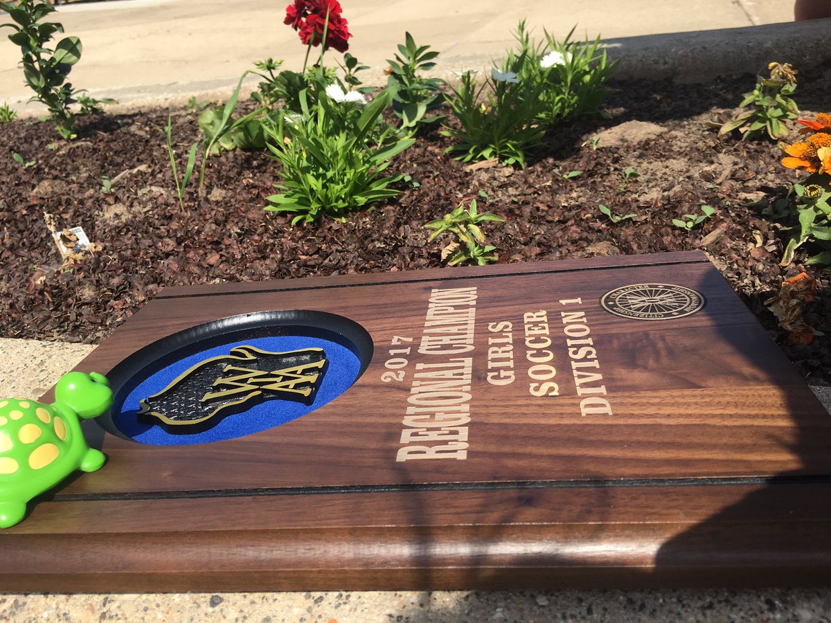 Herbert enjoying the view🐢🌞