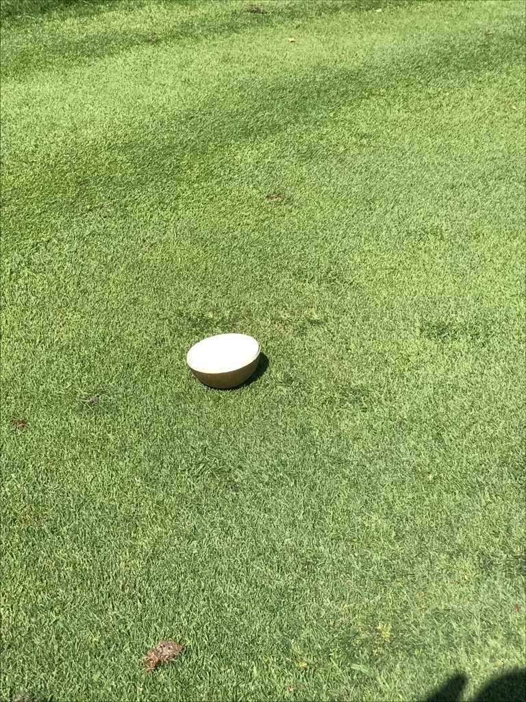 eaustin45's tweet photo. Nice drive @JustinFriske #brokenteemarker #bestshotallday https://t.co/h10G0isfS0