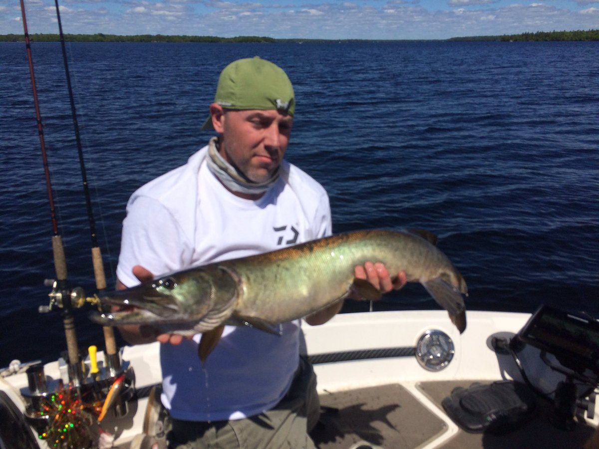 MuskyNinja's tweet photo. Not a bad season opener on Ninjas boat - 38 incher, lost two.  #muskyfishing #muskyopener https://t.co/9UVXD6wwXM