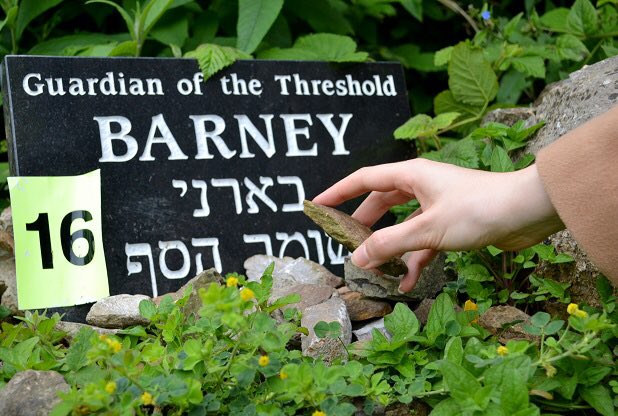 DEREKFROOD's tweet photo. Sun 4th June Last chance to visit #CemeteryAudioTour at the Jewish burial ground on Lambhay Hill, The Hoe #Plymouth 11-3pm @plymhistoryfest https://t.co/0ZtywqFlc2