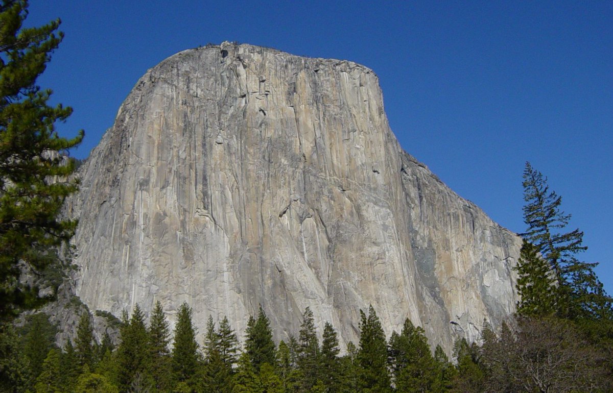 Gripped Climbing tweet media