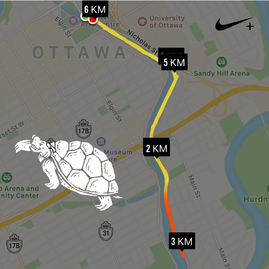 dani_keenan's tweet photo. Another run in the books - although was very much a (sick) turtle today! #nhfd2017 #6run3 #runottawa https://t.co/uUAHZeXpW7
