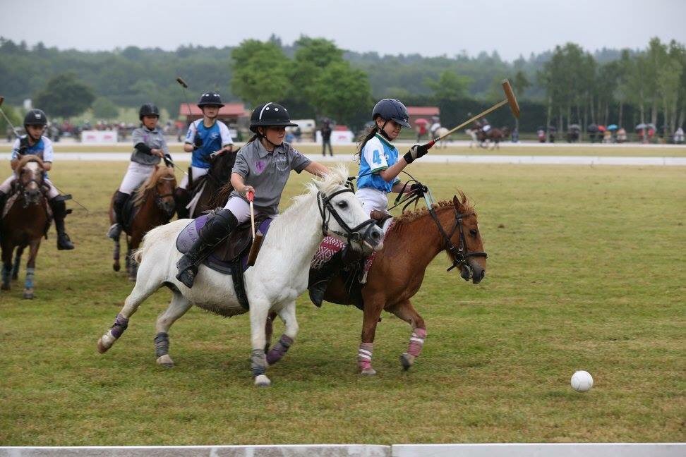 Fédération Fr Polo tweet media