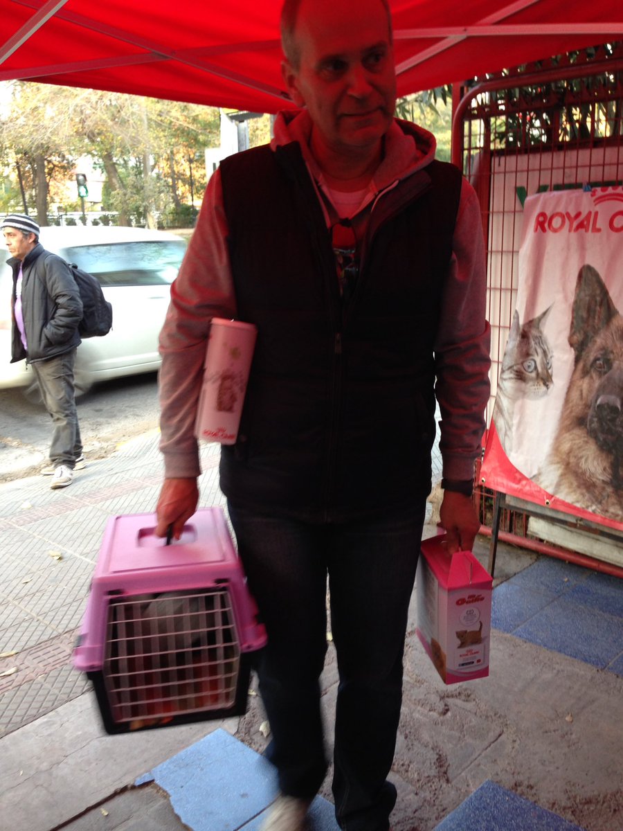 GATITOSCHILENOS's tweet photo. En la jornada de adopción #metrocolon https://t.co/b3v45xWueB