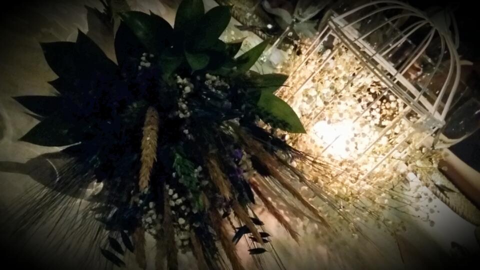 _Setiii_'s tweet photo. #BodorrioLyR https://t.co/tpOXa7jJY6