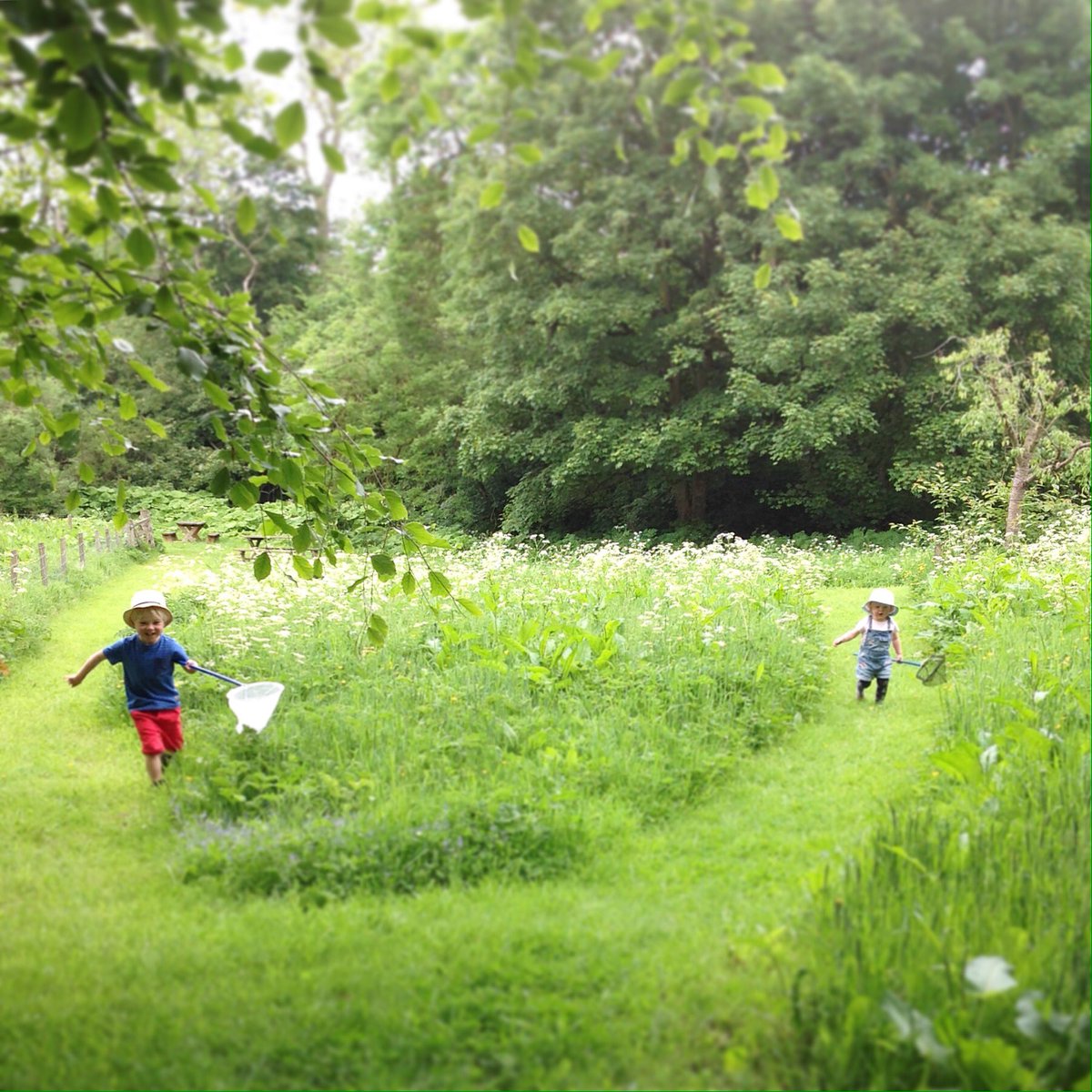 emmajgibb's tweet photo. Lots of fun today exploring @N_T_S Barry Mill, visiting the wonderful @BalungieFarm &amp; taking a trip with Kerr's Miniature Railway #Angus https://t.co/SL9tJl4Fh2