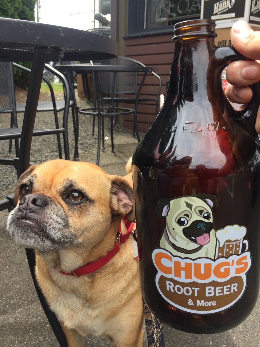 ChugsRootbeer's tweet image. Chugs here! Come visit him and enjoy some #root beer #Lynnwood #dog