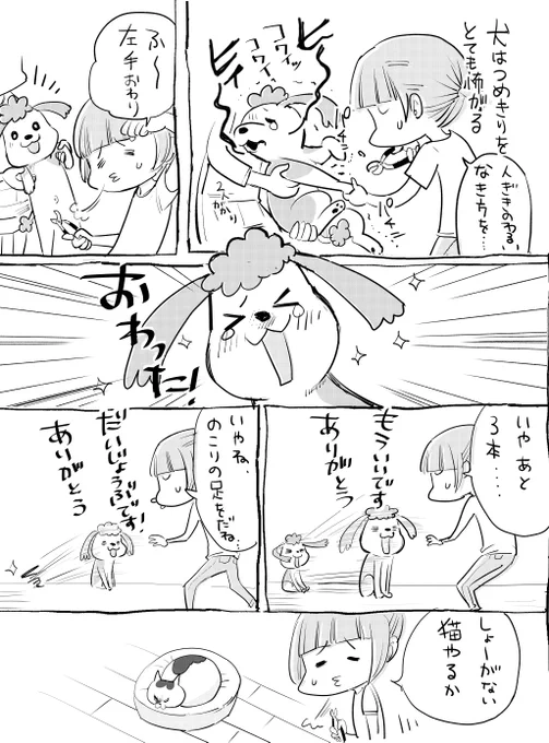 犬と猫どっちも飼ってると爪を切るのもこんなにたのしい 