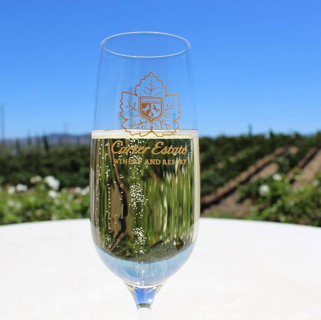 CarterEstWinery's tweet photo. Carter Estate Winery, your destination for the best bubbly in Temecula Wine Country. 🍾🥂 #bubblesmakeitbetter #teme… https://t.co/Mcmz1nefnt https://t.co/aCqVzdbhg2