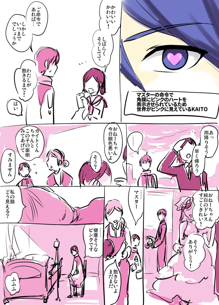 マスターの命令で角膜にピンクのハートを表示させられているため世界が常にピンクに見えているKAITO 