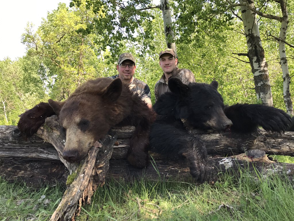 JRyanMcCann's tweet photo. Good week at bear camp in Manitoba https://t.co/g1UxUjAetm