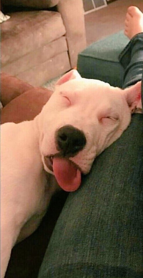 pones una pelicula / a los 2 minutos