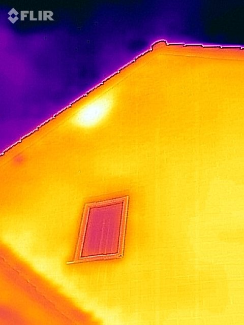 Honey bee location with the thermal camera