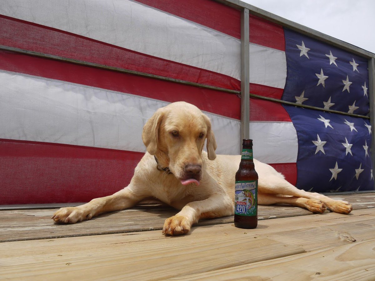 sills89's tweet photo. @sweetwaterbrew thirsty pup https://t.co/yfBfdYZdHA