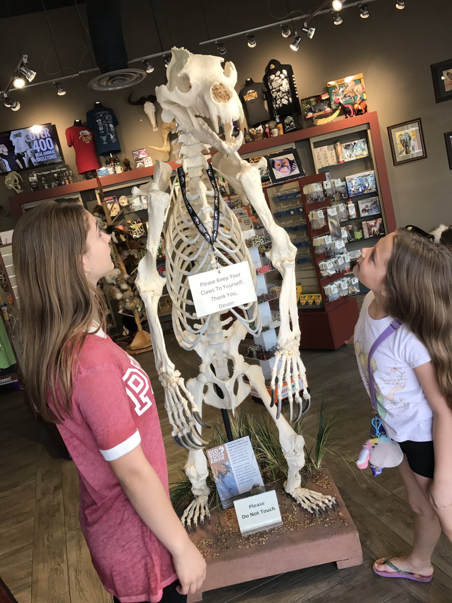 SkeletonMuseum's tweet photo. Stop by @I_Drive360 and see us this #weekend. #SkeletonMuseum https://t.co/sPDxjE6Ab5