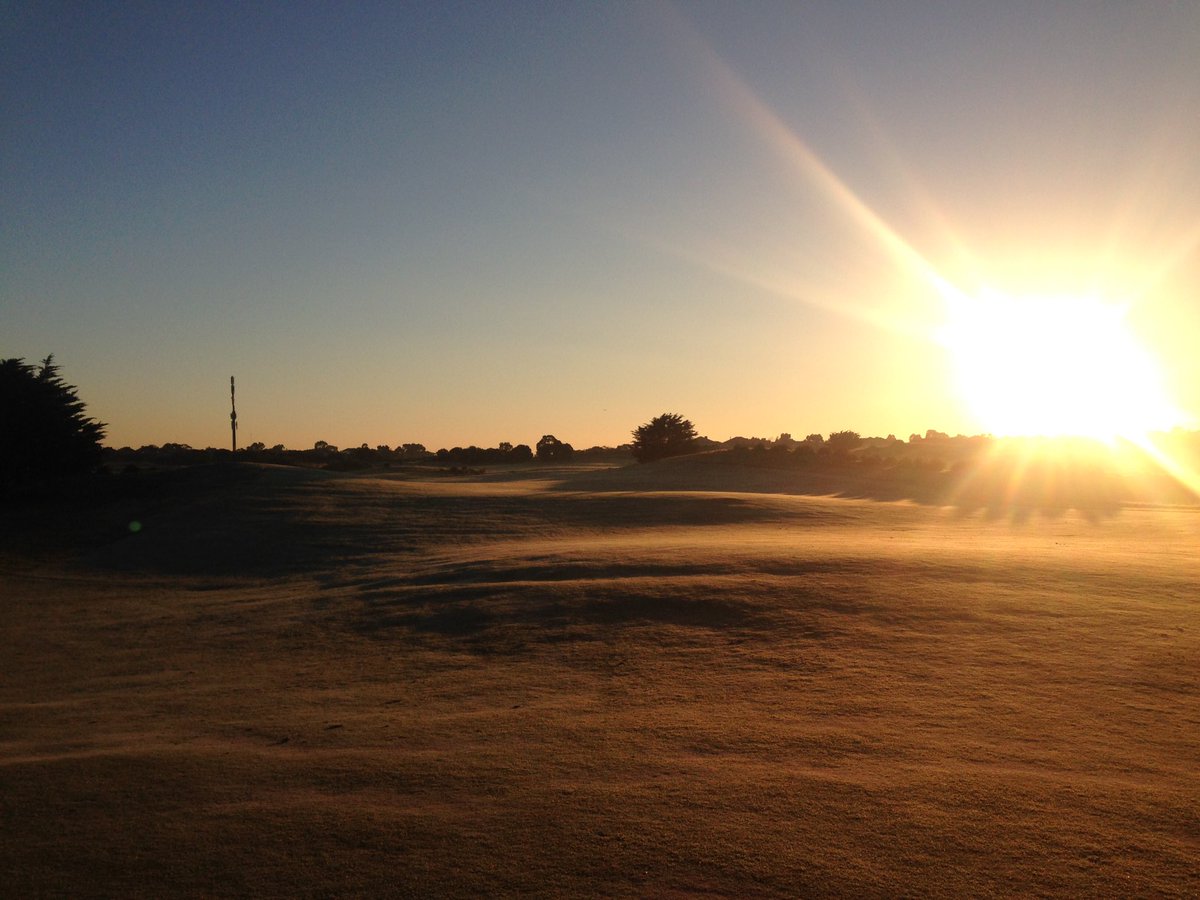 Sanctuary Lakes Turf tweet media