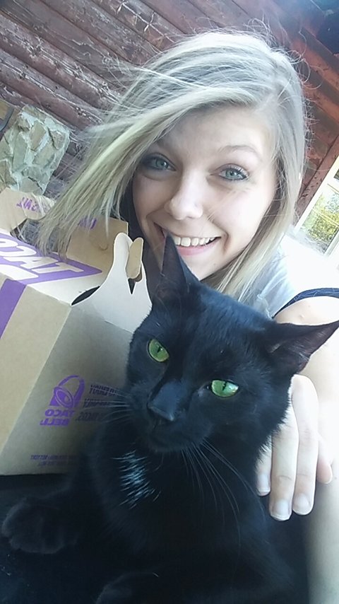 boo_minz's tweet photo. When all your friends ignore you just take your cat with you to get a 12box! #tacobell #cat #nofriends #12box https://t.co/VEh7xoioVK
