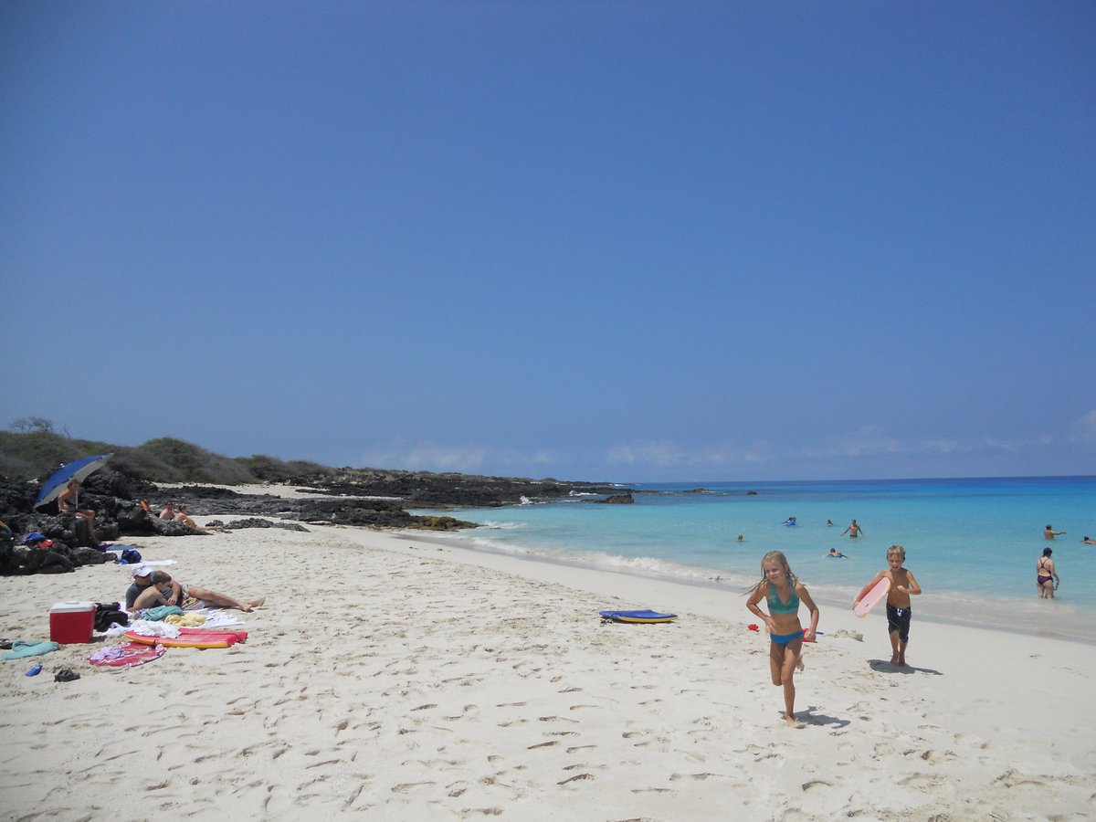 MsBathsheba's tweet photo. Day at the beach with the SO today
Haven't had a proper holiday in years, it's nice. https://t.co/2TDwCBdMDT