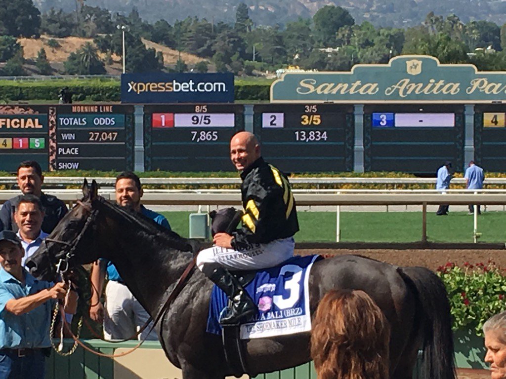 Battalion111's tweet photo. 7yo stud #BalaBali @BreedersCup Shoemaker Mile @XxTheLostArtsxX @nythoroughbred @just__es @gyancita @BritneyEurton 🐎 https://t.co/V9iWSK1jGo