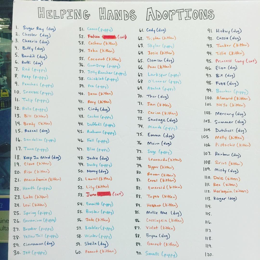 113 adoptions today!! See you at Petsmart tomorrow to do some more!!