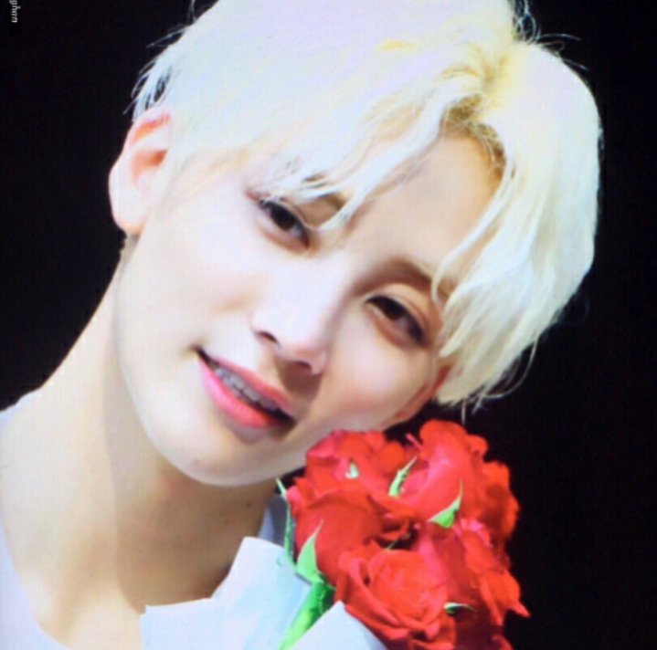Thais21elf's tweet photo. #PERUwantsSEVENTEEN please @pledis_17  @pledis17_STAFF we love them so much 😍🤗🙇🙇 my bias Jeonghan 😘 https://t.co/XIiEe35uv7