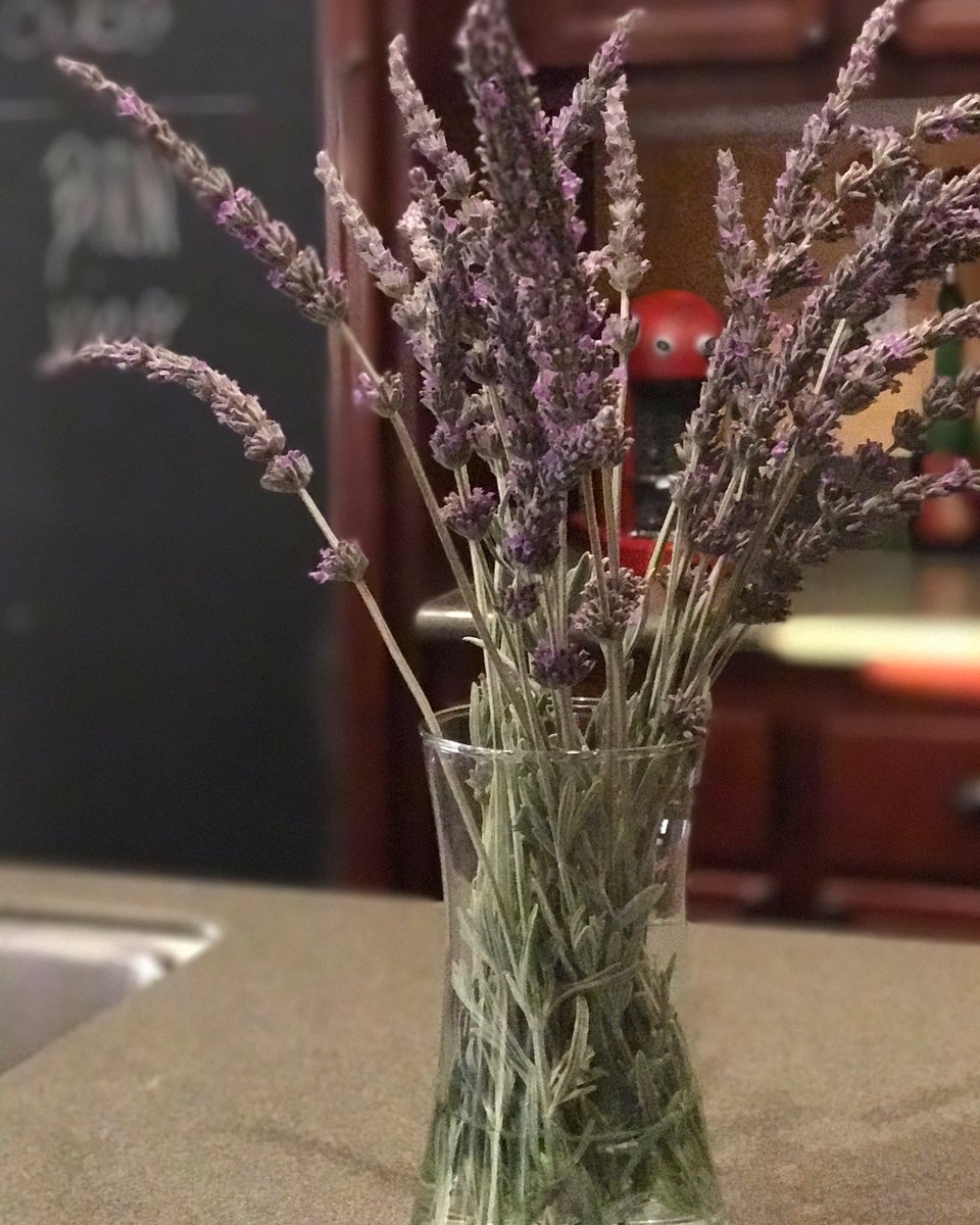 mambaitaliana's tweet photo. Love the lavender this time of year. #drinktemecula #backyardbloom https://t.co/Ibuu2Ki9YG