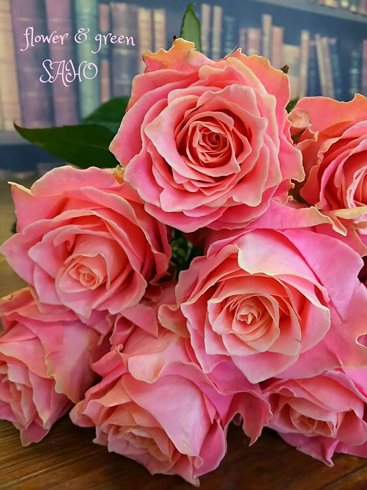 フラワー グリーンsaho アーリエス オレンジがかったピンクの薔薇です 花言葉 上品 愛を持つ 恋の誓い 気品 Minne 様で季節の植物やサボテンを販売させて頂いております 植物 フラワー つくる人 T Co Yyaceztdkp フラワー グリーンsaho アーリエス オレンジがかったピンクの薔薇です 花言葉 上品 愛を持つ 恋の誓い 気品 Minne 様で季節の植物やサボテンを販売させて頂いております 植物 フラワー つくる人 T Co Yyaceztdkp