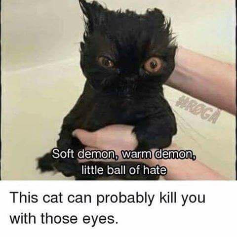 <a href="/Crowleypants/">Crowley</a>