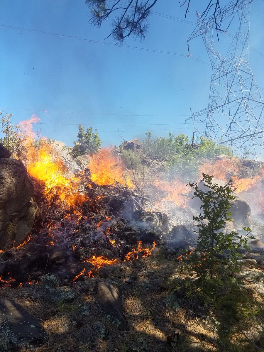 CoconinoNF's tweet photo. π #SnakeRidgeFire News Update ποΈ 11.189 acres. Burn ops planned Sunday 8AM along power lines. https://t.co/Wmp0cfy6Ll π₯ #AZCOF #HappyJack https://t.co/1lrguBJDo1