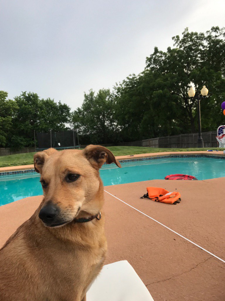 mtbGolf's tweet photo. Long week. Enjoying these clouds and a chlorinated pool to kill all the P.I. #poolorapond https://t.co/thaLC3pRNv