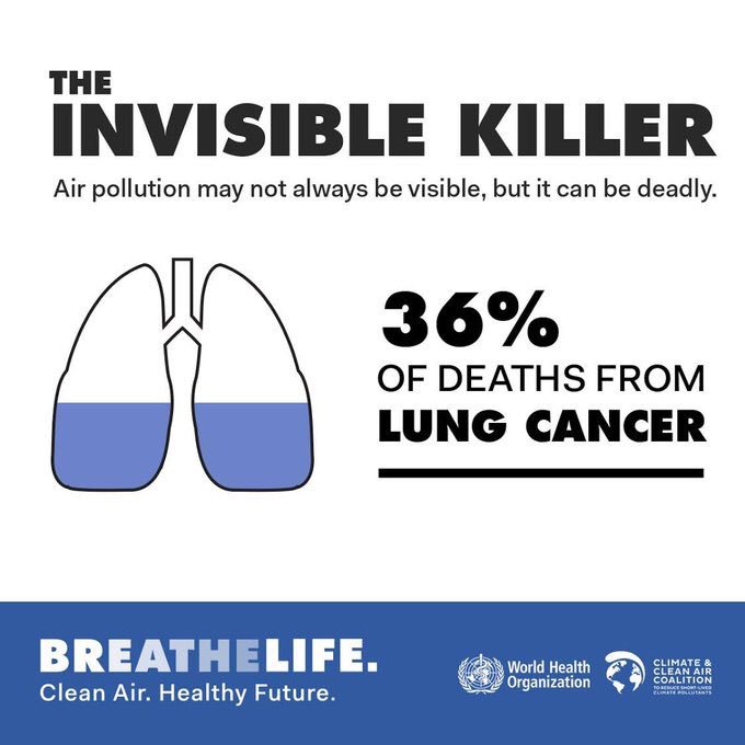 WHO's tweet photo. #AirPollution kills.
Air pollution causes 36% of deaths from lung #cancer.
#BreatheLife. Clean air, healthy future https://t.co/YdHyVsh6gk https://t.co/cj1ZcdWPGr