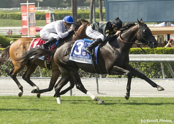 TwinSpires's tweet photo. #BalABali rallies for #ShoemakerMile (G1) victory @santaanitapark
https://t.co/rtBClf5VlU https://t.co/p8MfMy6tiT