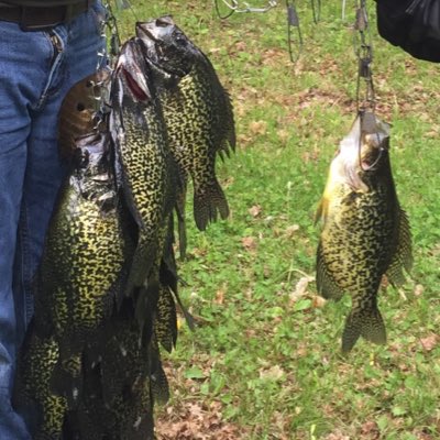 Sunset_Point's tweet image. #NewProfilePic