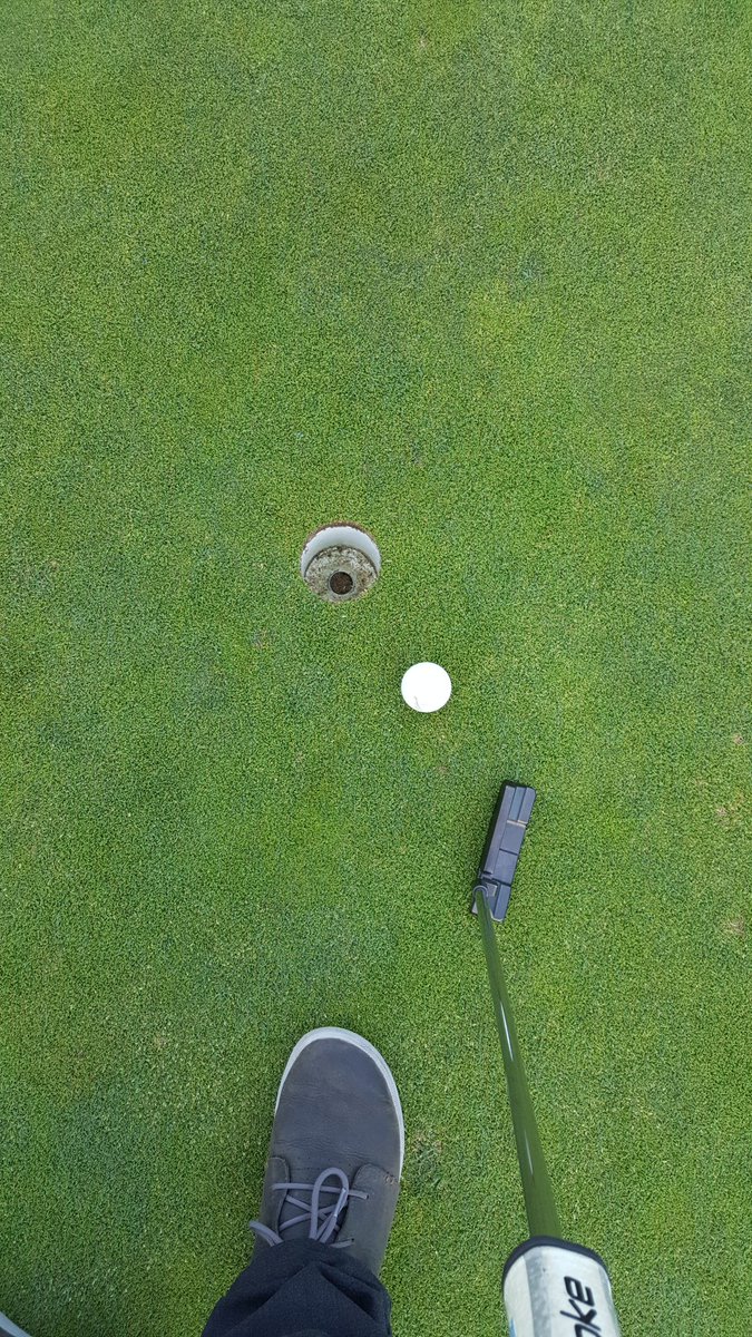 JoshWasnik's tweet photo. @GolfAcademyYQR here's something to help putting. On the Royal Montreal putting green right beside the first tee. https://t.co/hI6Pmq9hgh