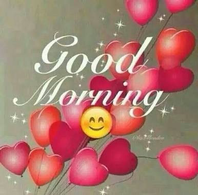 GurpreetMannRAJ's tweet image. #FunTimeWithFDD
Good mornig guru @Gurmeetramrahim ji nd sis @insan_honey ji