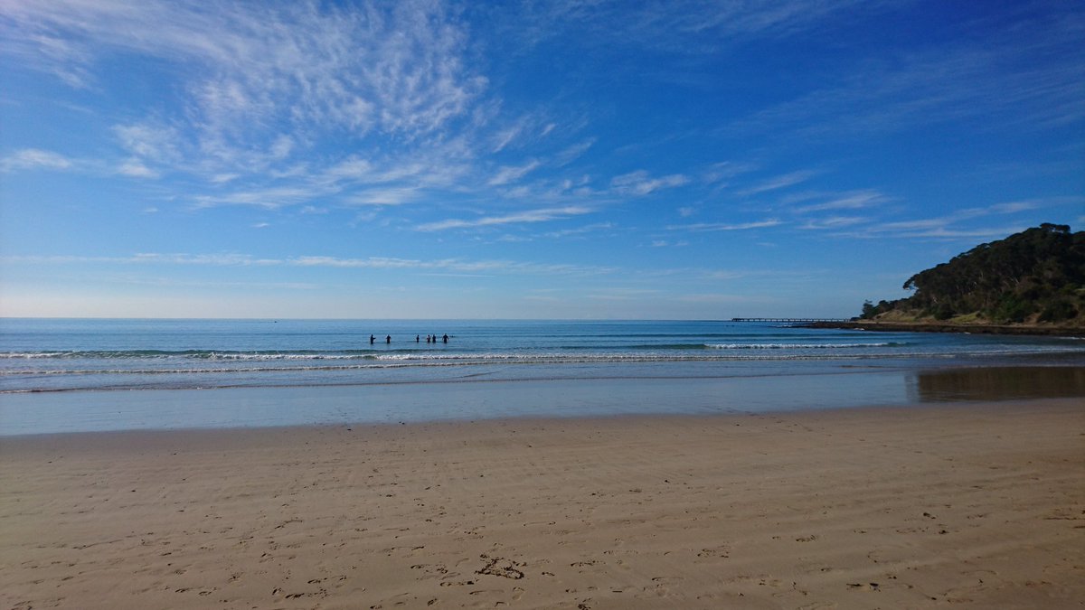 KennedyCreek1's tweet photo. First winter #Pub2Pier2Pub for me - sensational conditions with a big roll up from #Mussels #PinkCaps #ChannelSwimmers 🏊 a range of k's https://t.co/W11R8aS4aF
