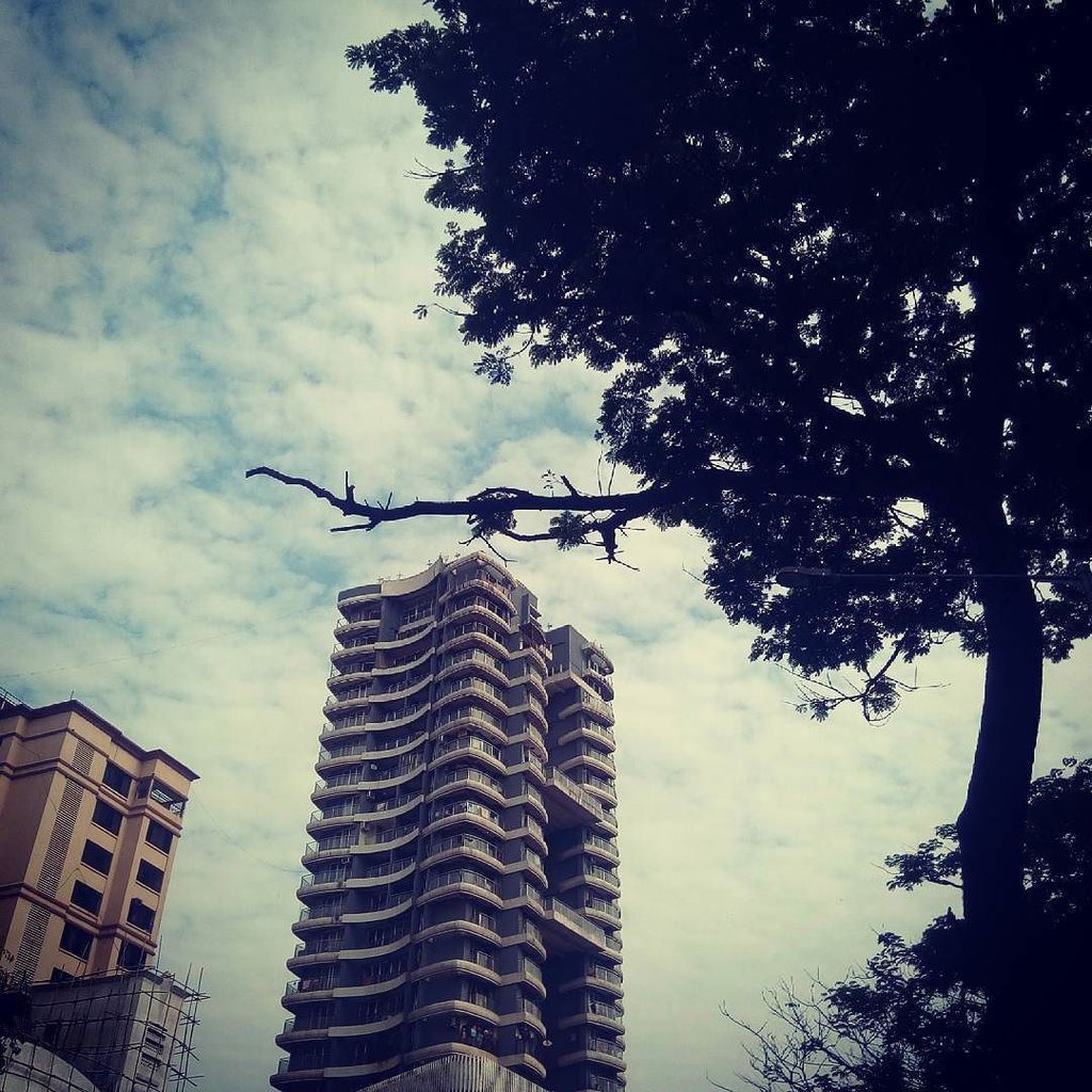be_justa's tweet photo. #survival #bettle man vs nature.... Who stand tall in this #god created #universe. ..... #bloodjusta #me #mumbai #… https://t.co/MfobaqdHfz https://t.co/m28OU0drNZ