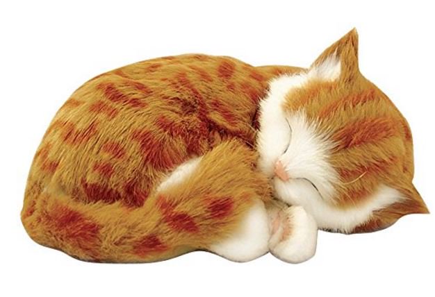SandyAlz's tweet photo. Perfect #Petzzz Orange Tabby Cat Realistic  by Perfect Petzzz  https://t.co/rwLIMN4Mvt https://t.co/06GiM6ETU9