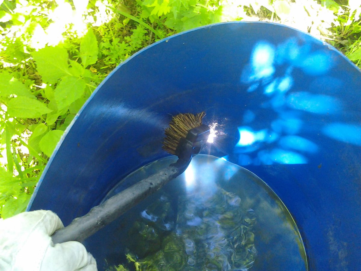 RackWater's tweet image. Save on product money &amp;amp; your time. If deer are no longer drinking, clean out tanks &amp;amp; tip them over to stop mosquito growth. #deer #hunting