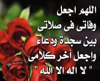 Mabroksad4's tweet photo. .
https://t.co/J6nRhd7TsK #taptrip https://t.co/uAW6GhomOK