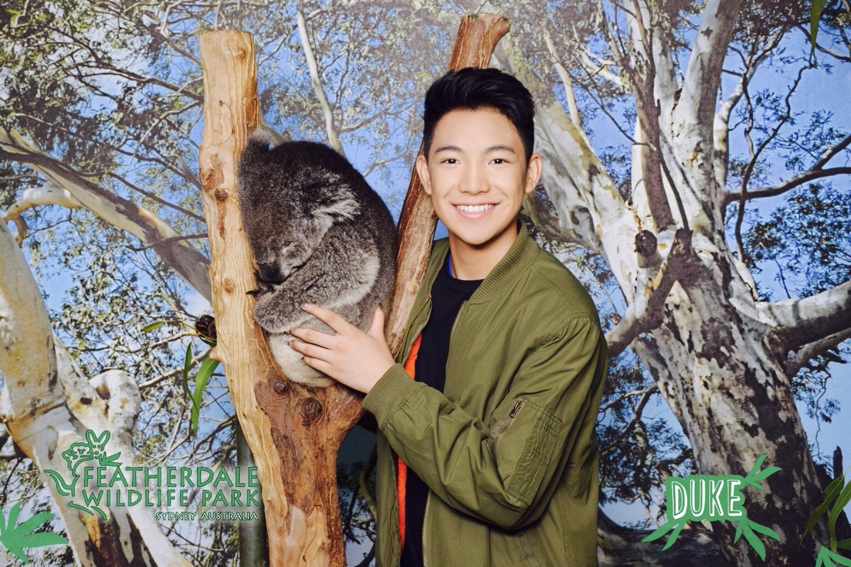 Espanto2001's tweet photo. The monkey and the koala! https://t.co/BNmgtCcRVc