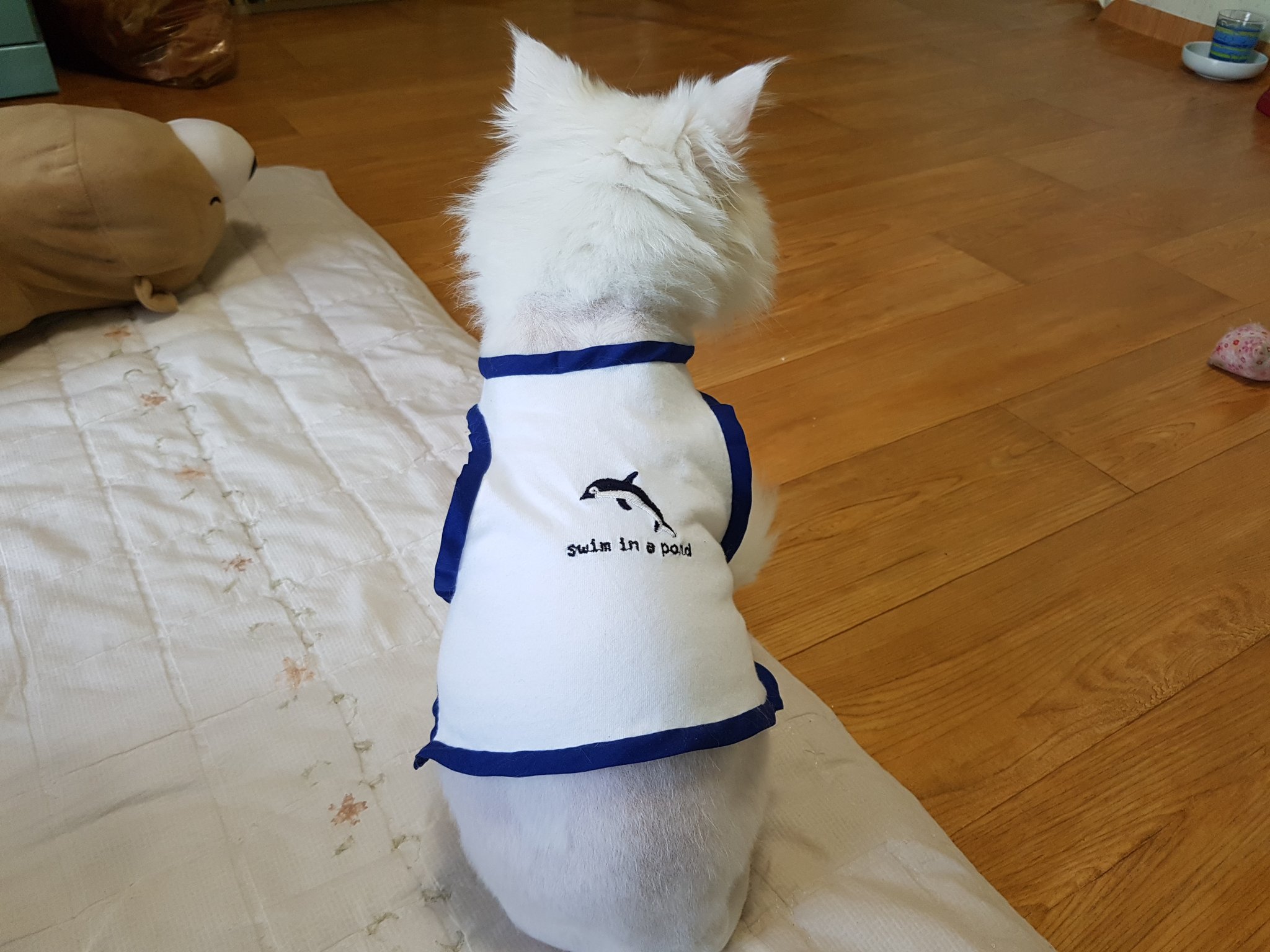 服リメイク Twitter Search Twitter