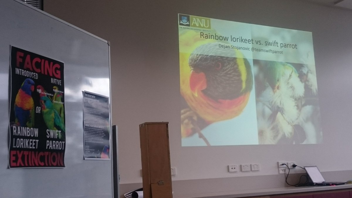 ABSAbirds's tweet image. At the fair go for swifties project at Hobart college with @teamswiftparrot learning how to help #swiftparrots. Hope to share some insights!