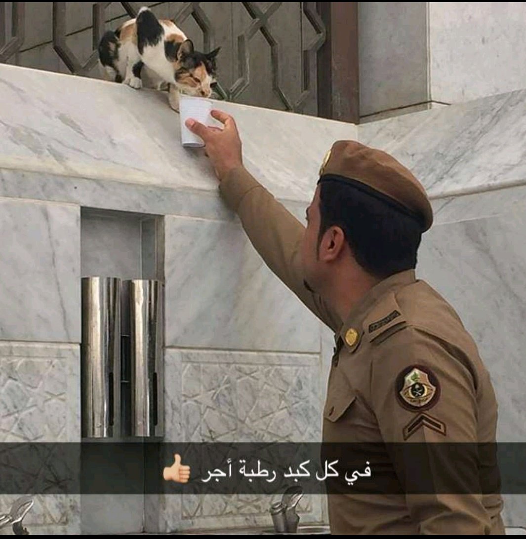 Mon0o_'s tweet photo. الراحمون يرحمهم الله ❤❤💕💕 https://t.co/juGjKtBs5r