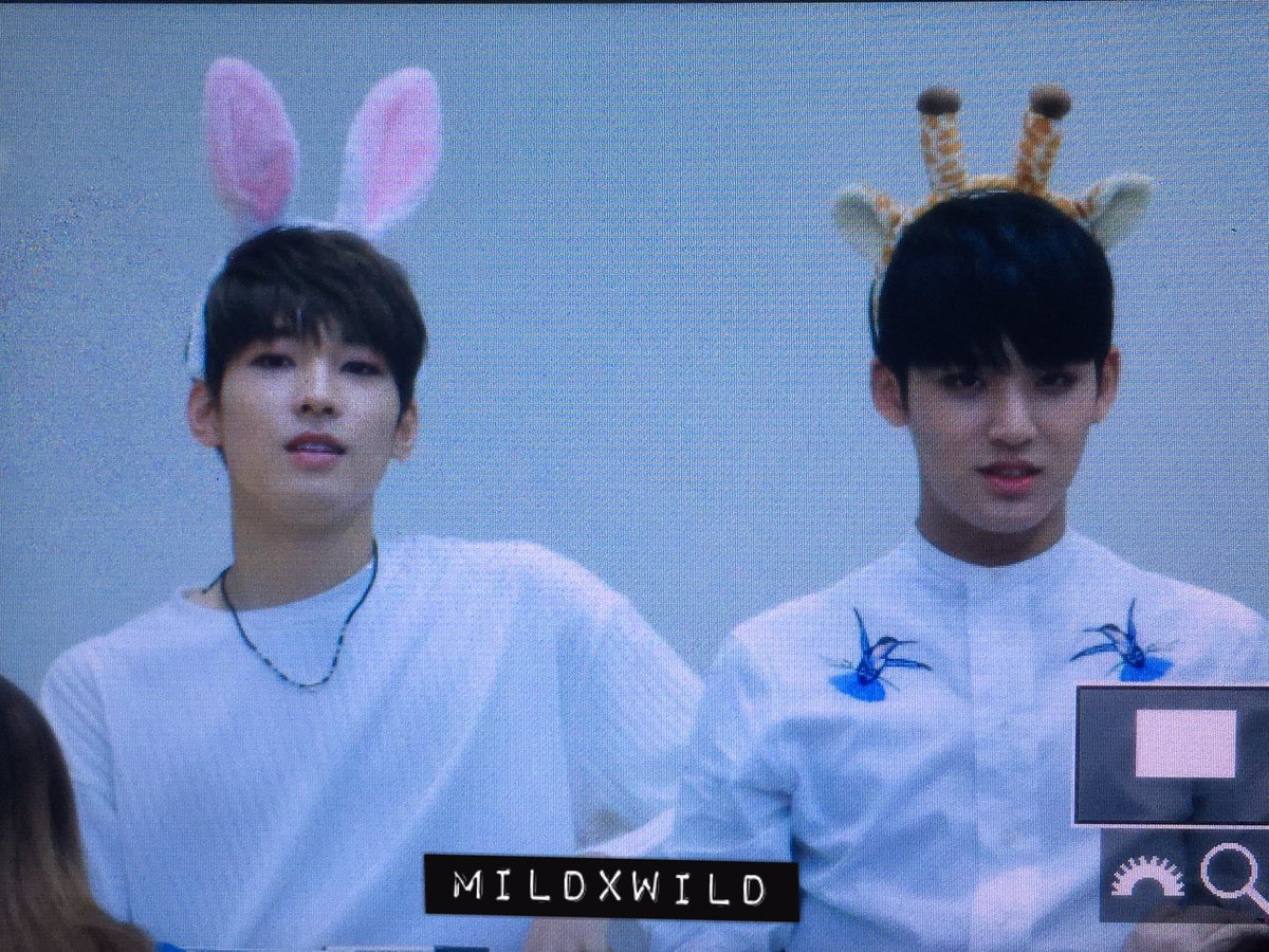 MEANIE_PH's tweet photo. [PREVIEW] 170604 Gwanghamun Fansign #세븐틴 #민규 #MINGYU #원우 #WONWOO #울고_싶지_않아 ©mildxwild https://t.co/NGlTbijp7K