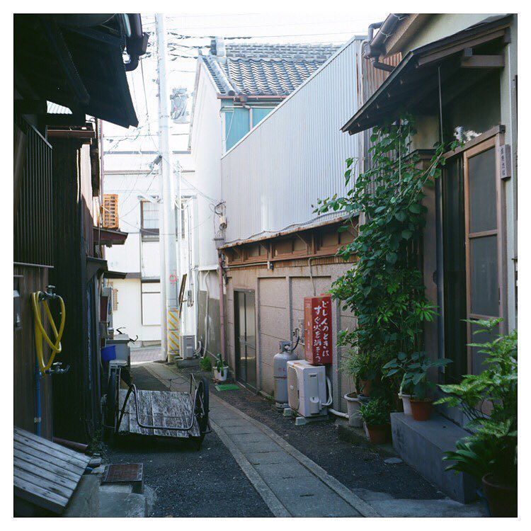 HisaFoto's tweet photo. 「三崎口」
.
.
.
#ローライコード #rolleicord #rolleicordiv #xenar #tlr #filmcommunity #hueart_life #shootermag #reco_ig #ig_ph… https://t.co/P4lZtoisXs https://t.co/HN5iftfPEs